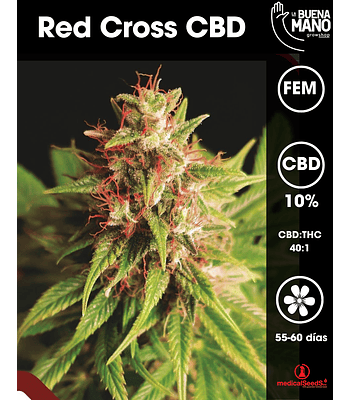 Red Cross CBD Fem (3u)