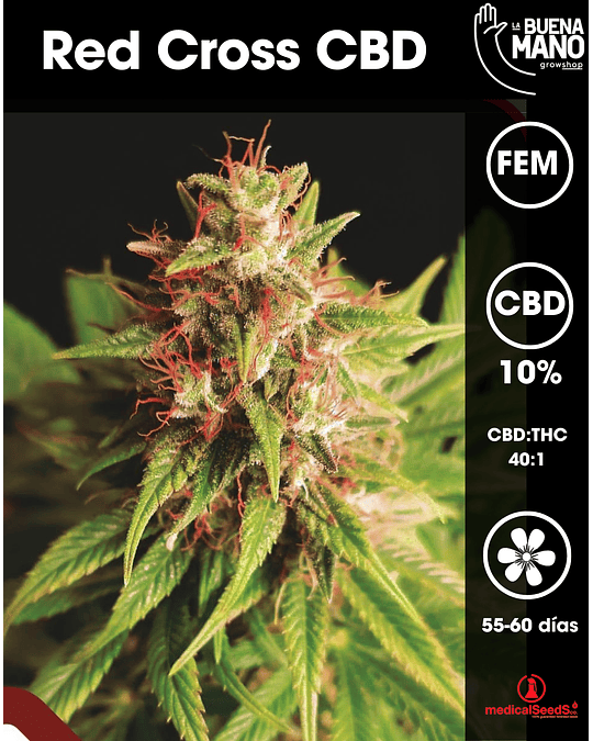 Red Cross CBD Fem (3u)