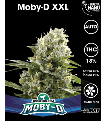 Moby-D XXL Auto (4u)