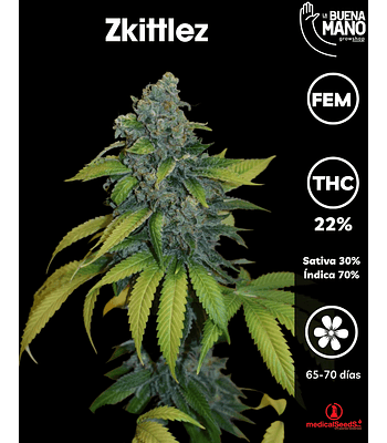 Zkittlez Fem (3u)