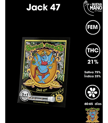 Jack 47 F1 Fast Version Fem (3+1 u)