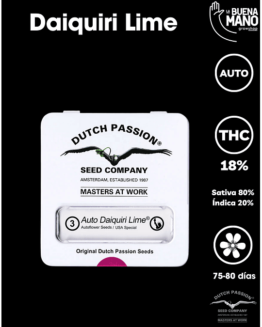 Daiquiri Lime Auto (3u)