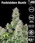 Forbidden Runtz Auto (3u)