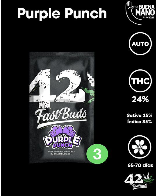 Purple Punch Auto (3u)