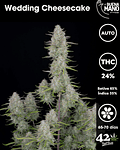 Wedding Cheesecake Auto (3u)