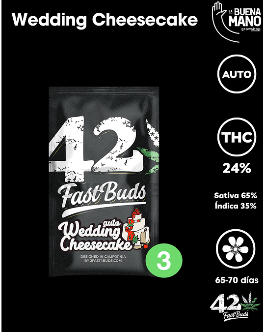 Wedding Cheesecake Auto (3u)