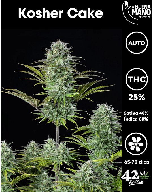 Kosher Cake Auto (3u)