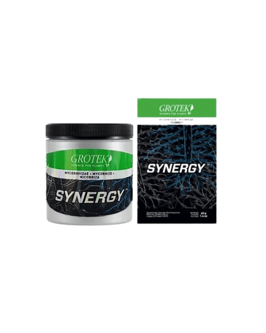 Synergy (40/140 grs)