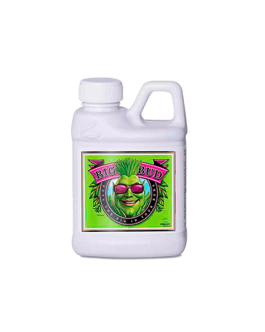 Big Bud (250/500ml)