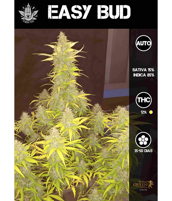 Easy Bud Auto (3u)