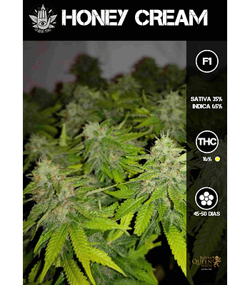 Honey Cream F1 Fem (3u)