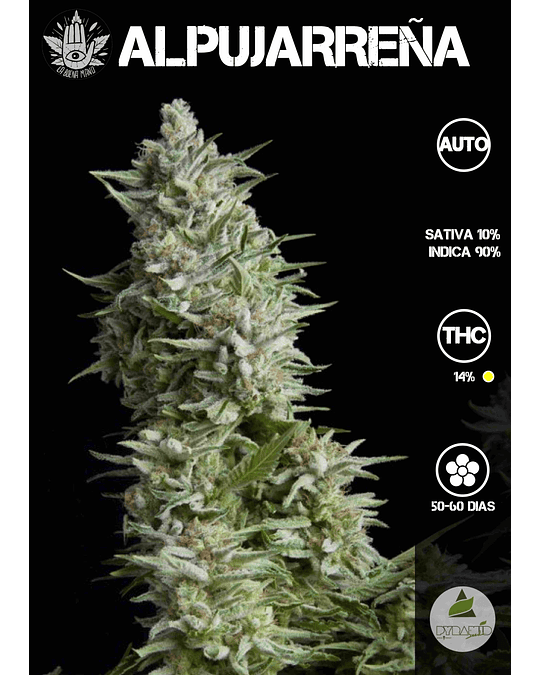 Alpujarreña Auto (3+1 u)