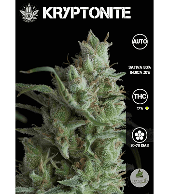 Kryptonite Auto (3+1u)