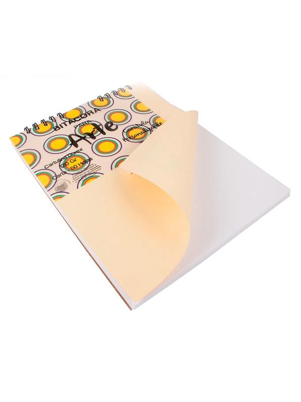 Bitácora Cartulina Durex Carta 1