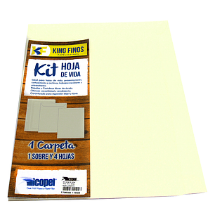 Kit Hoja De Vida King Finos Marfil Granito