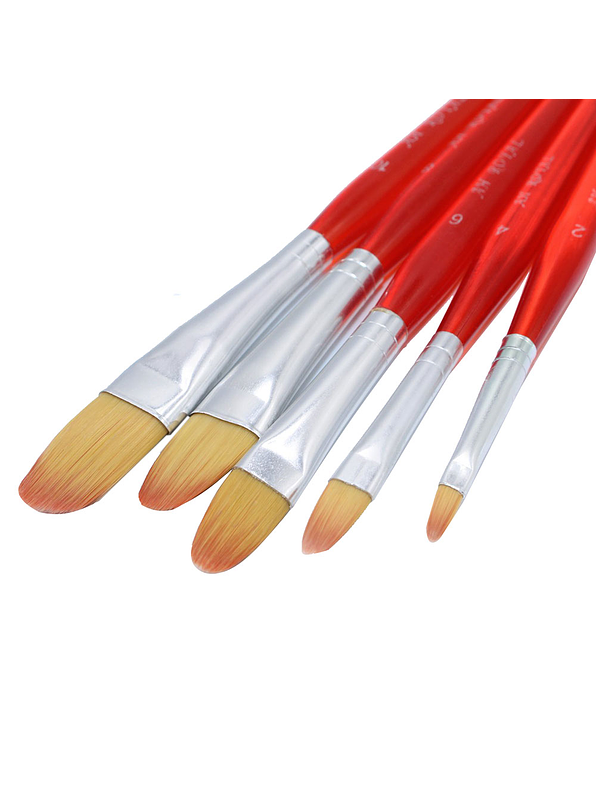 Juego De Pinceles Royal X 5 Unidades 1