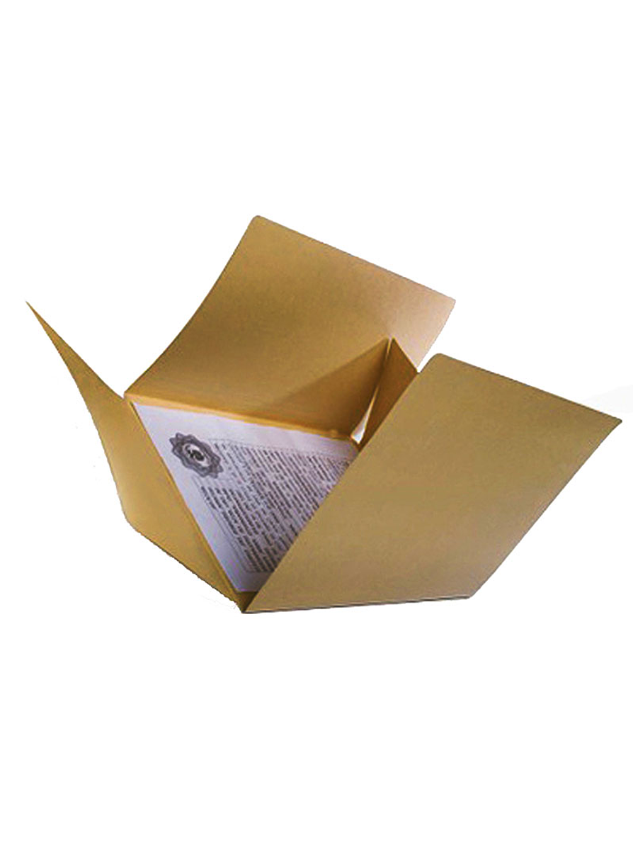 Carpeta 4 aletas kraff 1