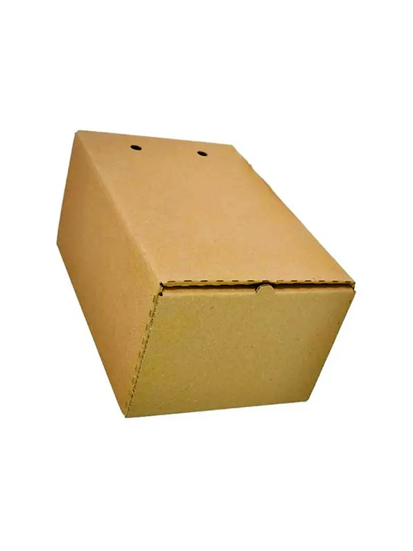 Caja De Archivo Norma #100 1