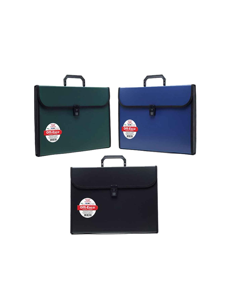 Archivador 13 bolsillos carta opaco 1