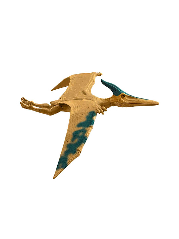 Jurassic World Pteranodon  1