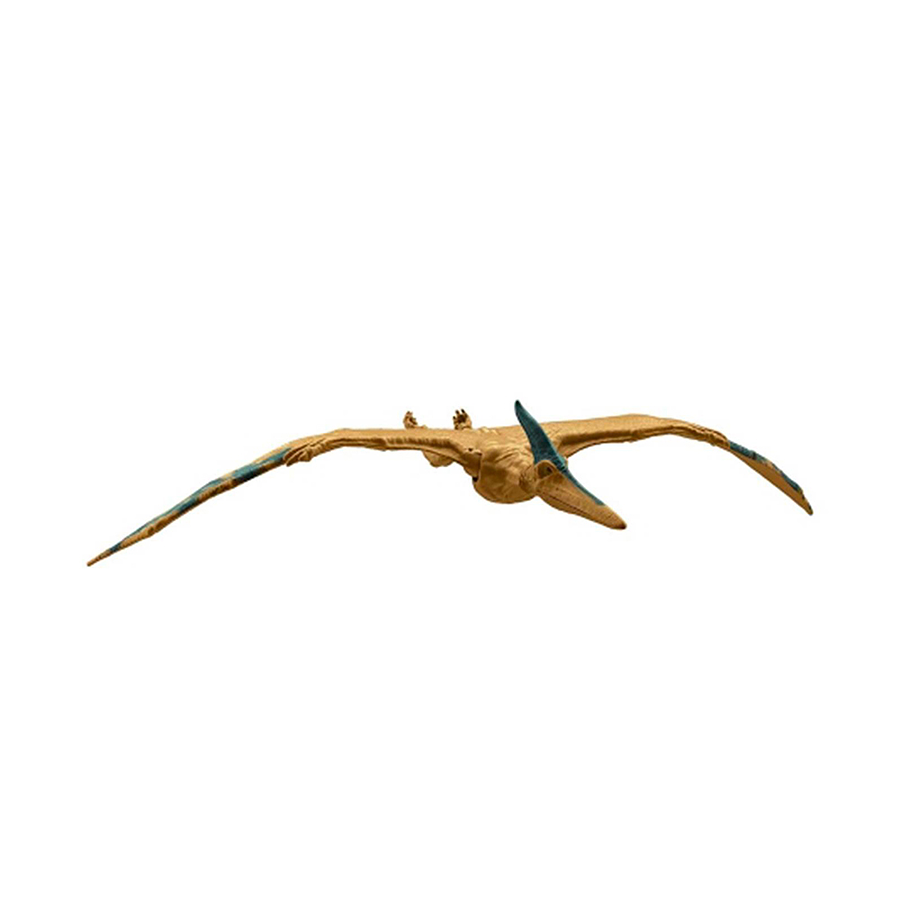 Jurassic World Pteranodon  4