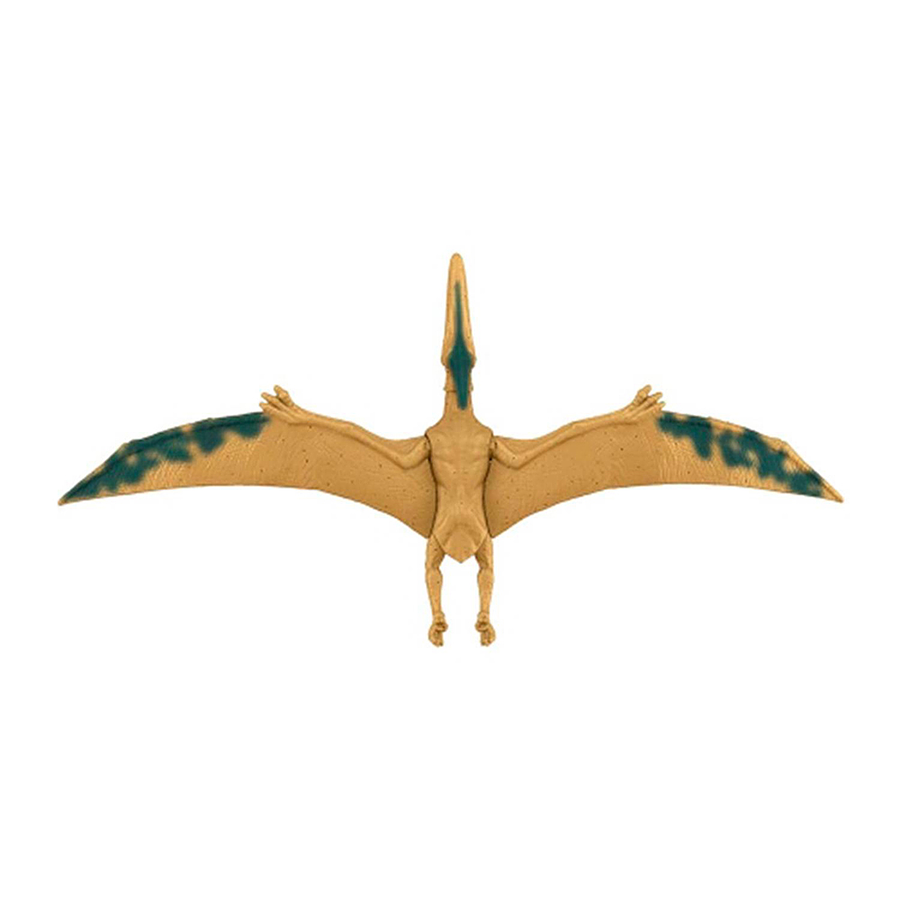 Jurassic World Pteranodon  5