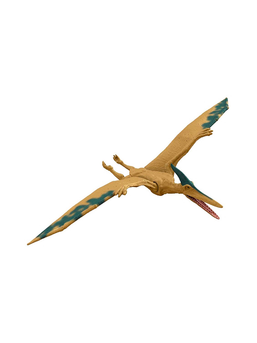 Jurassic World Pteranodon  6