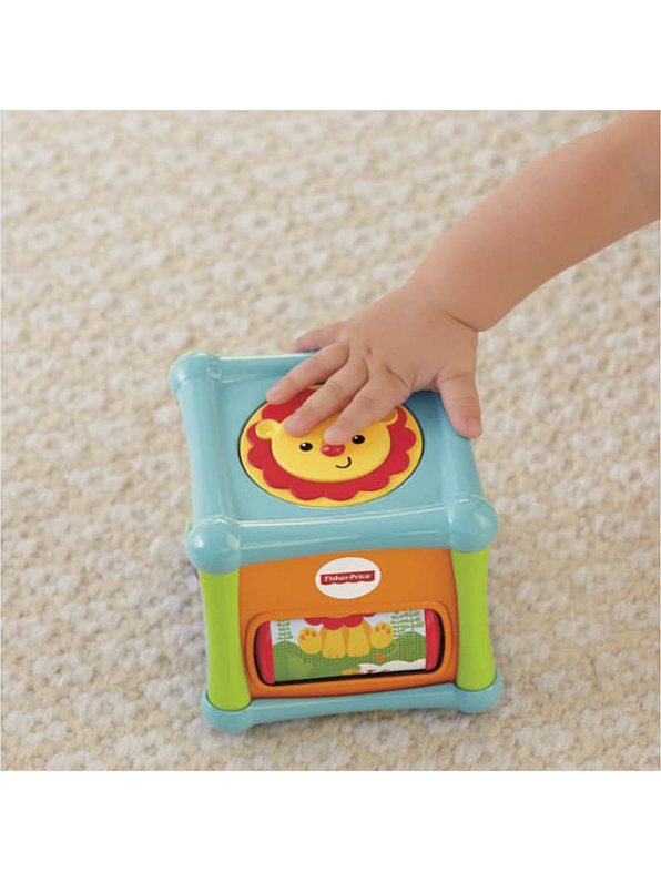 Fisher Price Cubo Animalitos De Actividades  5