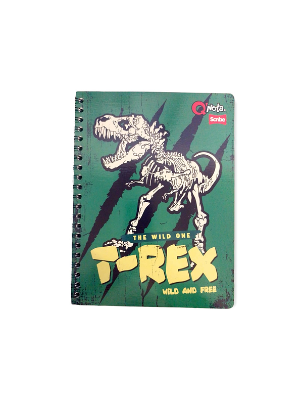 Cuaderno Catedratico Qnota Masculino 80 Hojas Cuadros 3