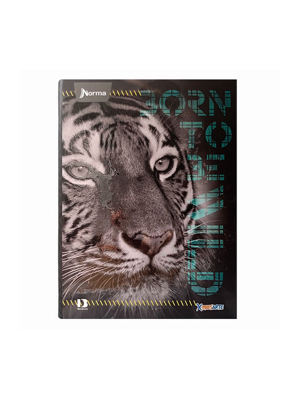 Cuaderno Cosido Pasta Dura X-Presarte 90 Hojas Cuadros Masculino 3