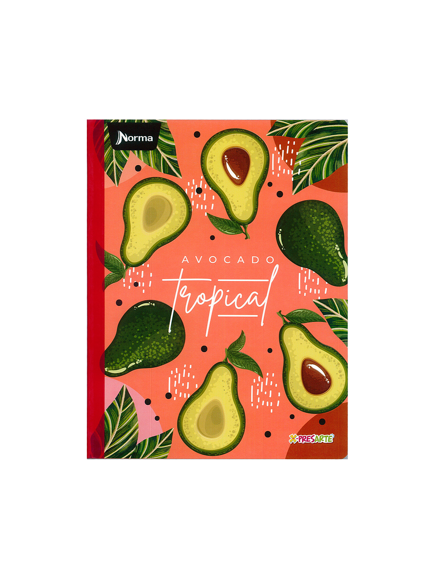 Cuaderno Cosido Norma X-Presarte 50 Hojas Cuadros 5