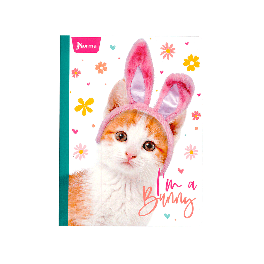 Cuaderno Cosido Norma Cats 100 Hojas Lineas 3
