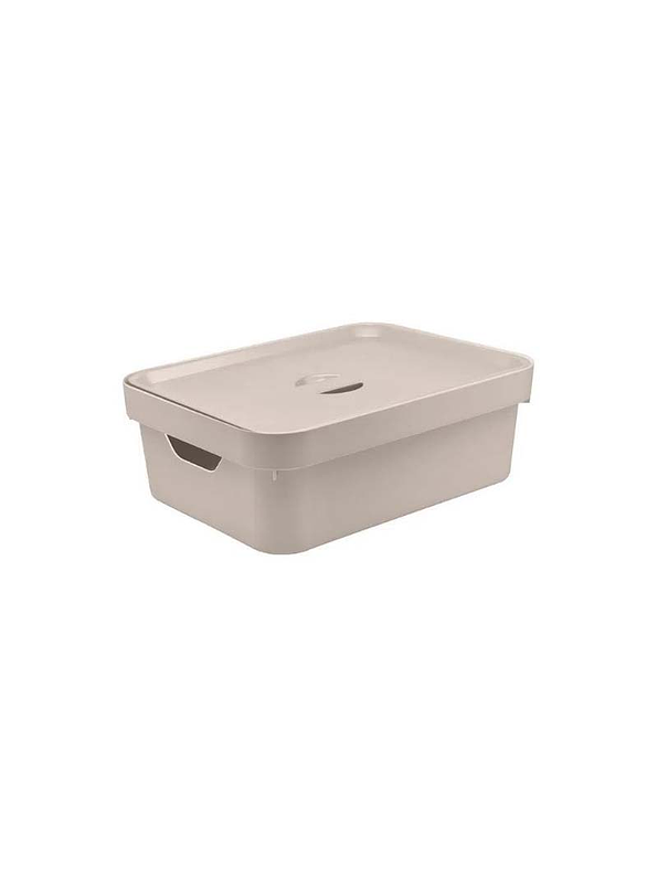 Caja Organizadora Mediana Con Tapa Cube 4