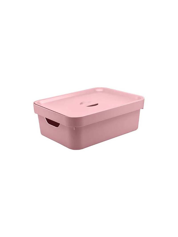 Caja Organizadora Mediana Con Tapa Cube 1