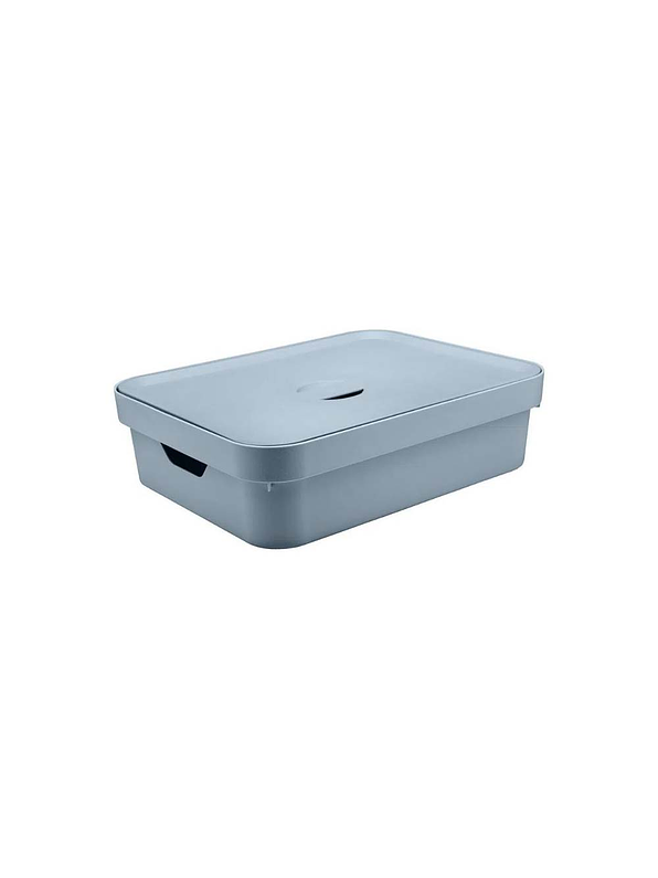 Caja Organizadora Baja Grande Con Tapa Cube 1