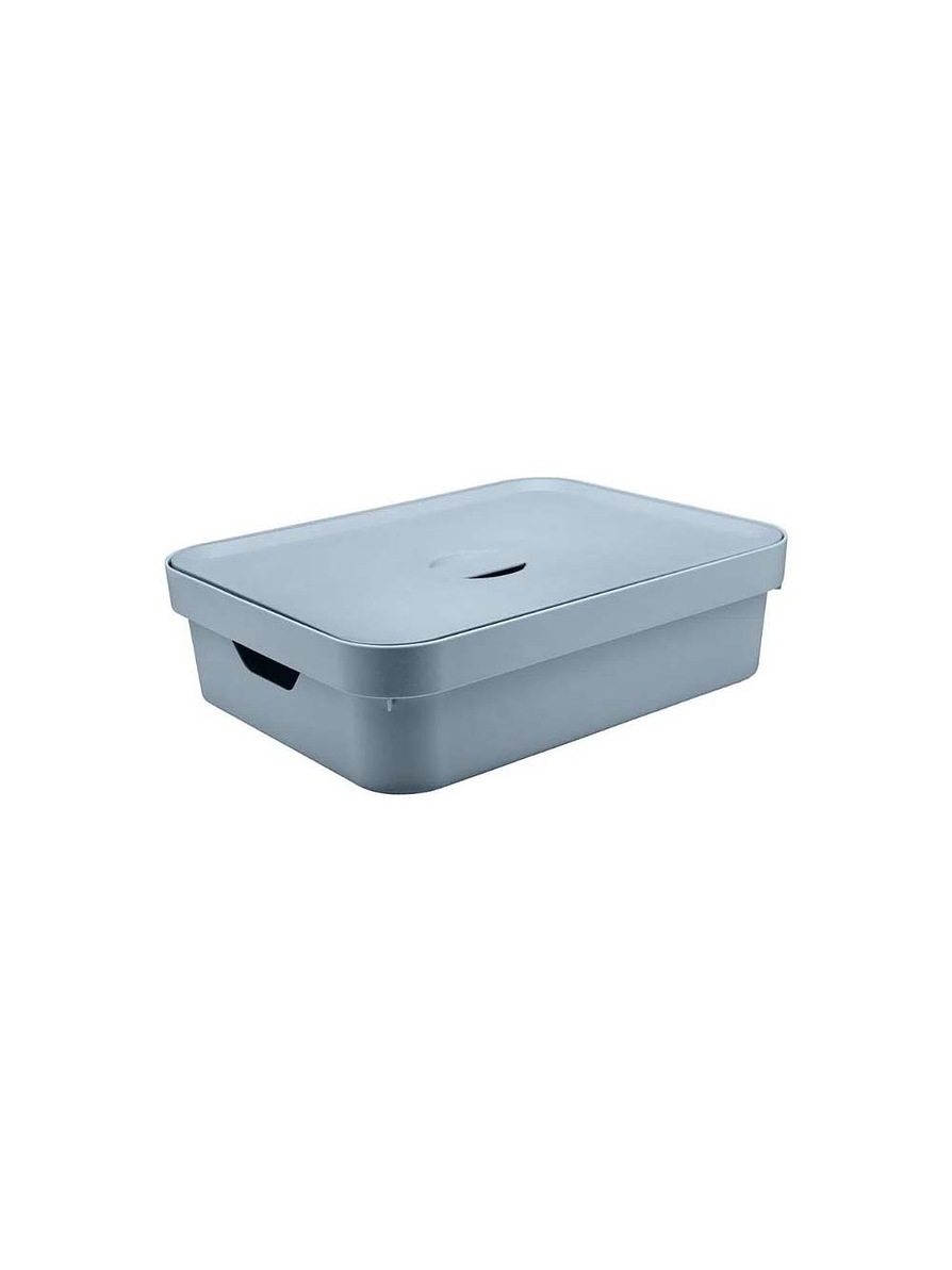 Caja Organizadora Baja Grande Con Tapa Cube 1