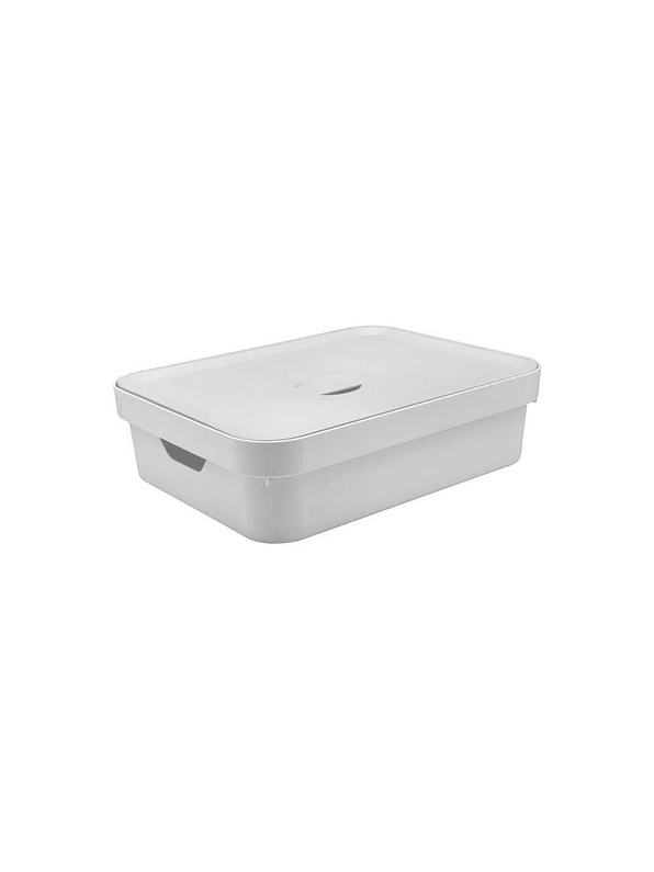 Caja Organizadora Baja Grande Con Tapa Cube 2