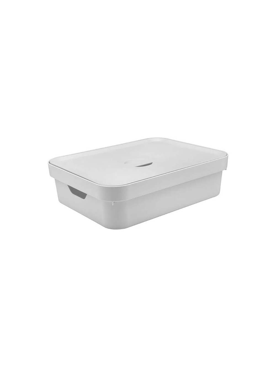 Caja Organizadora Baja Grande Con Tapa Cube 2