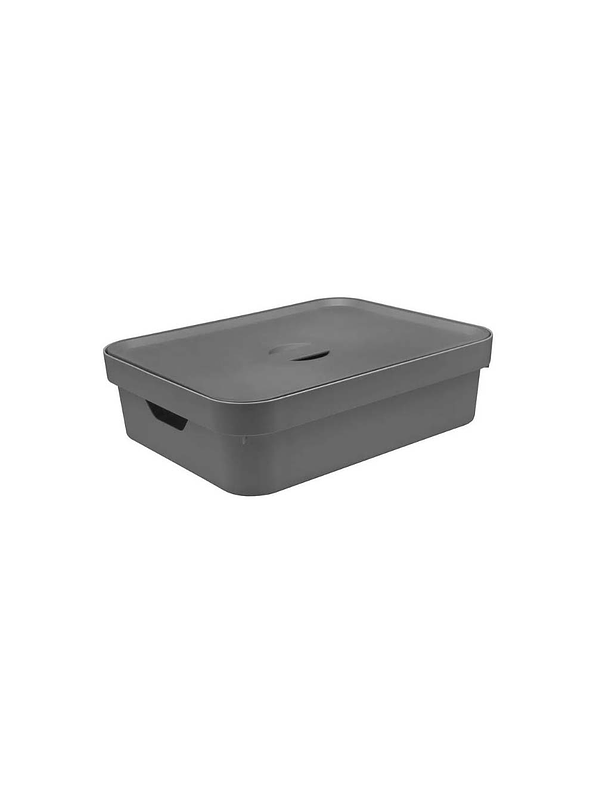 Caja Organizadora Baja Grande Con Tapa Cube 3