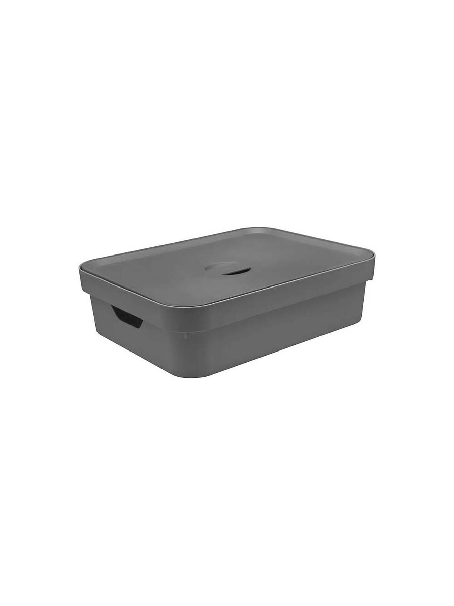 Caja Organizadora Baja Grande Con Tapa Cube 3