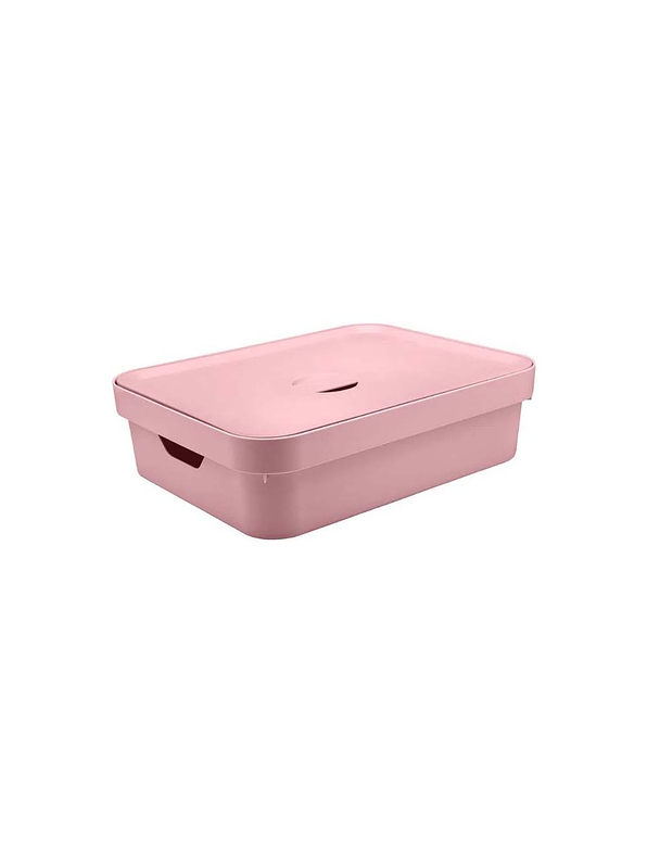 Caja Organizadora Baja Grande Con Tapa Cube 4