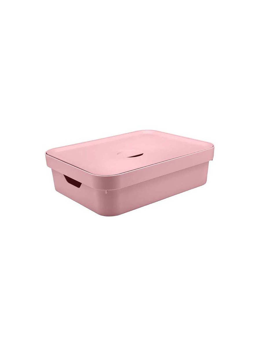 Caja Organizadora Baja Grande Con Tapa Cube 4