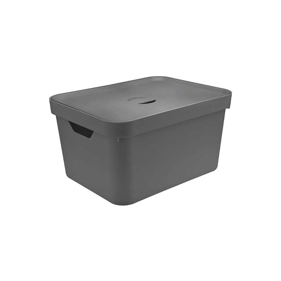 Caja Organizadora Grande Con Tapa Cube 1