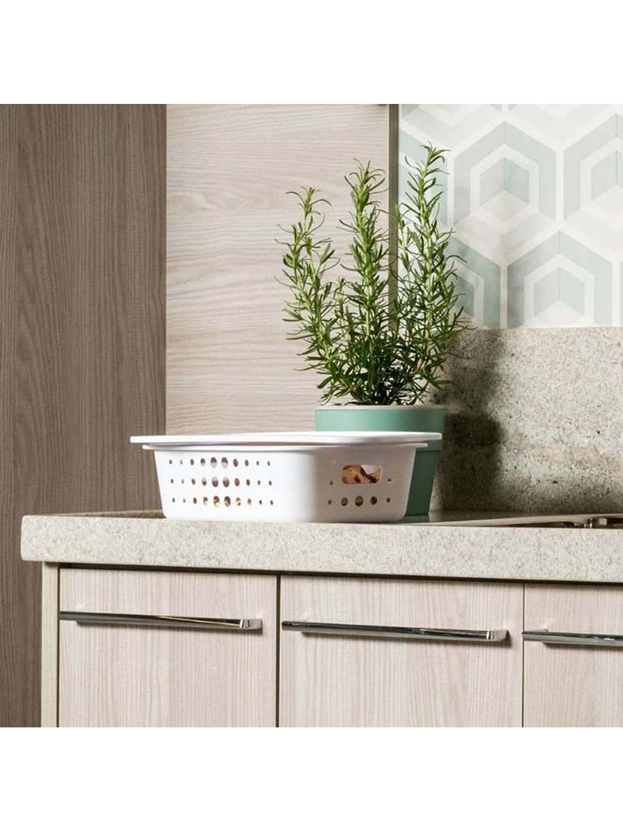 Caja Organizadora Baja Mediana 2