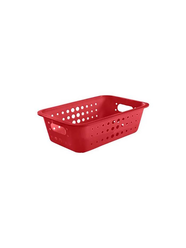 Caja Organizadora Baja Mediana 8