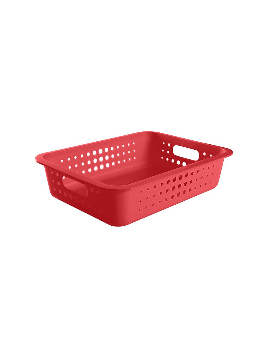 Caja Organizadora Baja Grande  7