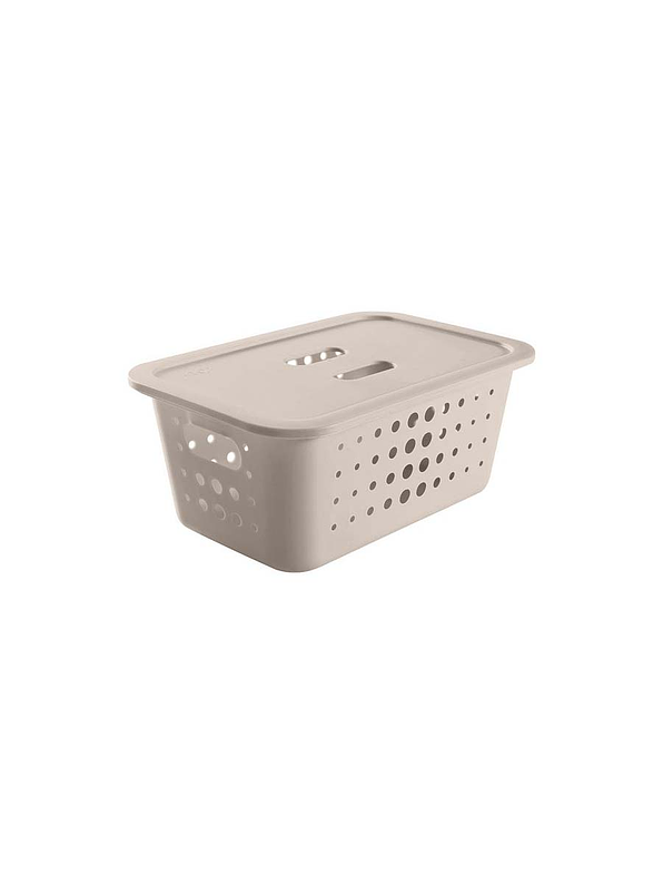 Caja Organizadora Mediana Con Tapa 1