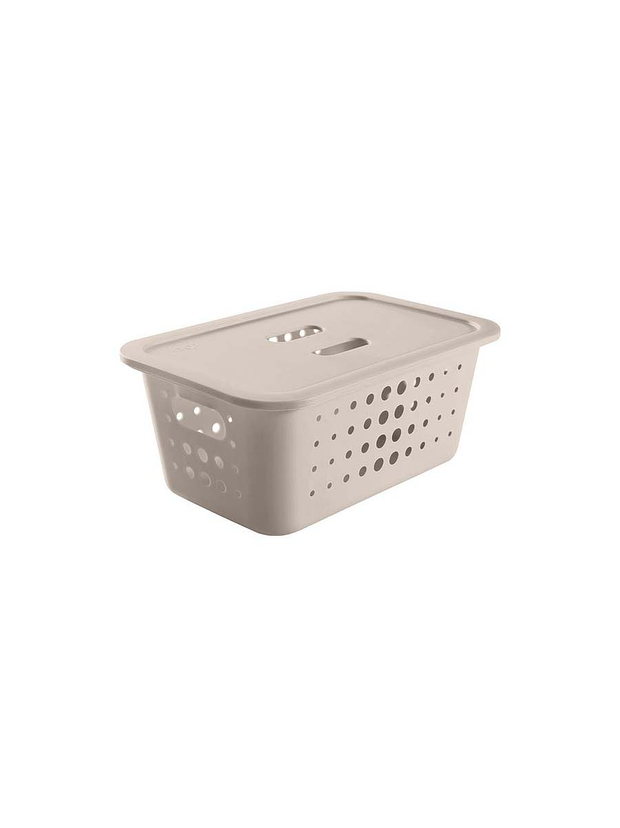 Caja Organizadora Mediana Con Tapa 1