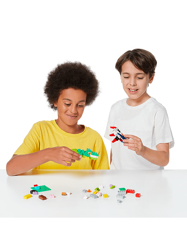 Bloques Max X 253 Piezas  8