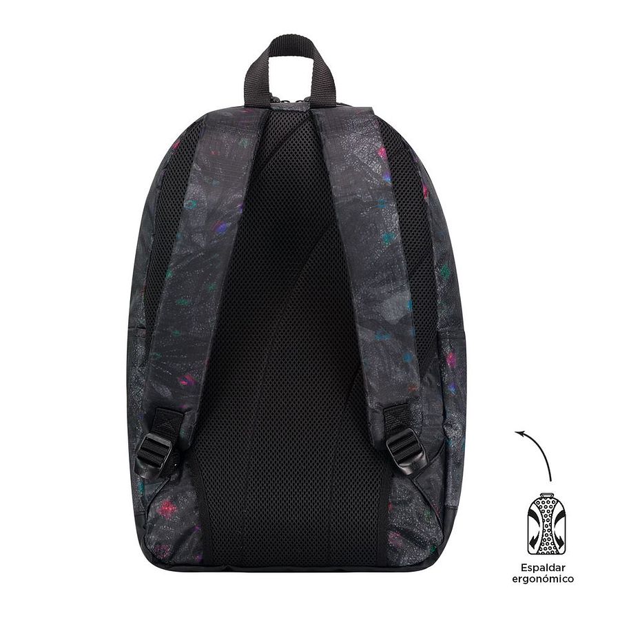 Morral Tocax Foresty Totto  3